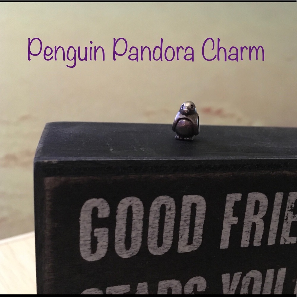 Sterling Silver Penguin Pandora Charm!